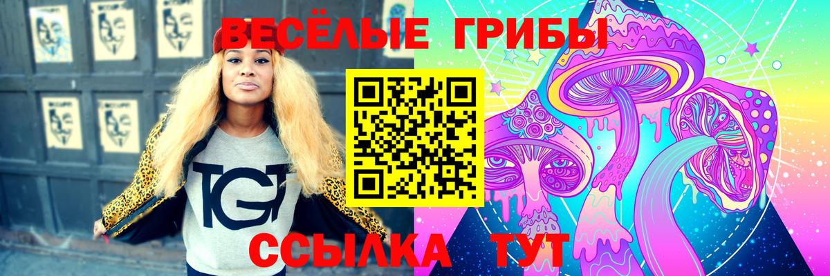 купить наркоту  Псилоцибиновые грибы прущие грибы  Кропоткин  Вход с VPN  Галлюциногенные грибы ЛСД 