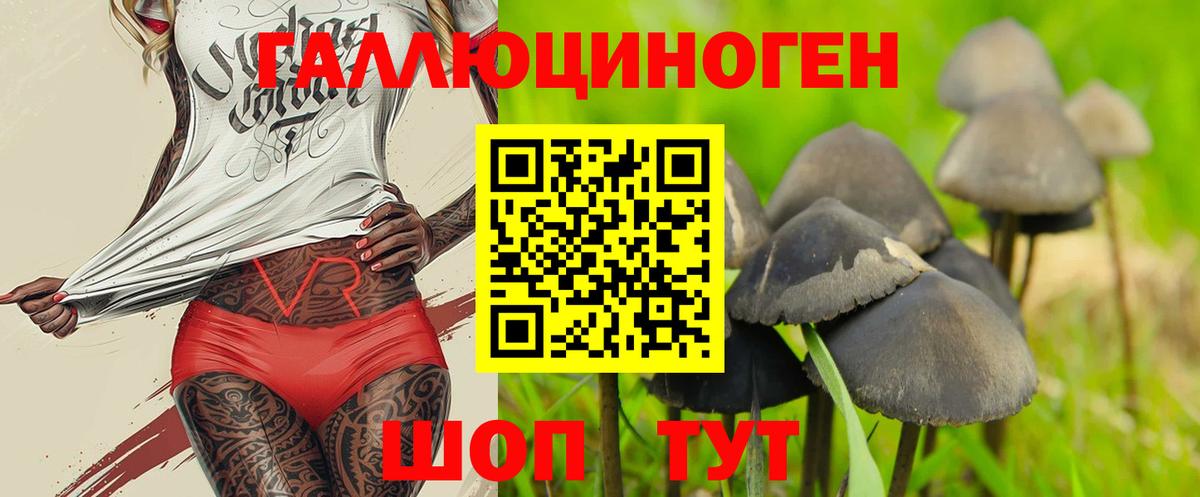Псилоцибиновые грибы Magic Shrooms Кропоткин